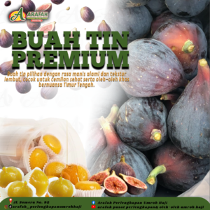 Buah Tin Premium