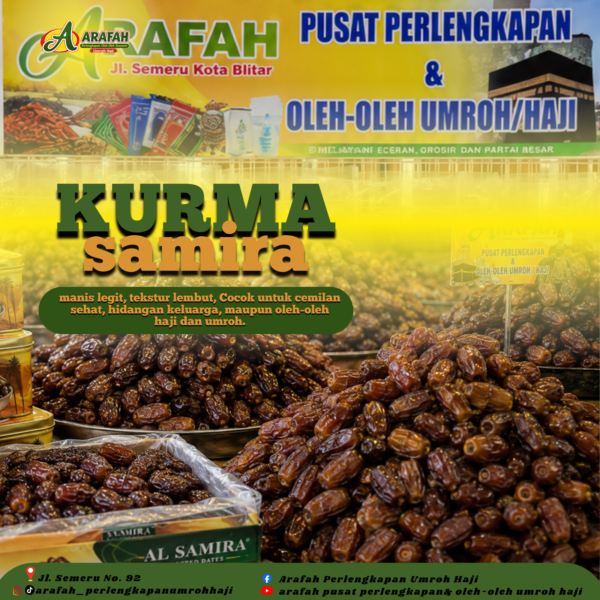 kurma-samira- Kurma Samira
